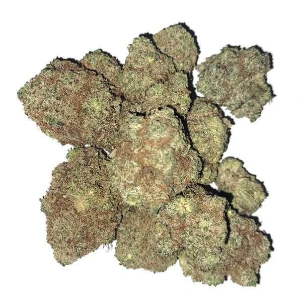 Platinum purple kush og shark cross dried cannabis