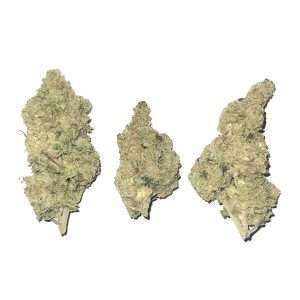 Kush Mints Dried Cannabis