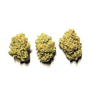 Sunset MAC Dried Cannabis