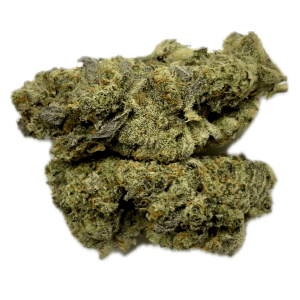 Grand Manitou - Graded 3A ~ $60/Oz Overstock Special 2