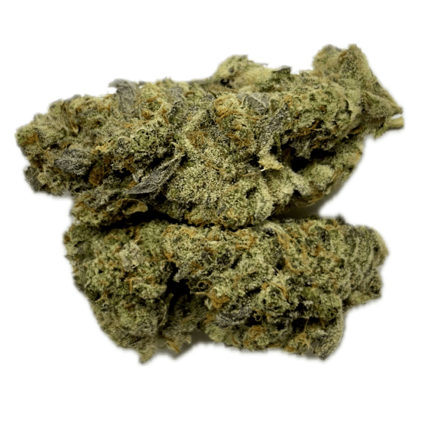 Grand Manitou – Graded 3A ~ $60/Oz Overstock Special