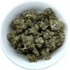 Soucoupe Volante (SV-10) – Dried Mushroom