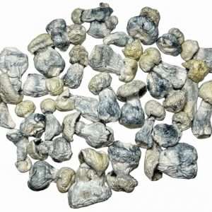 Jack Frost - Dried Mushroom 2