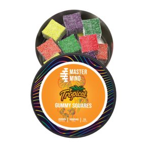 MasterMind - Tropical Gummy Squares