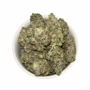 Hawaiian Pink – Exotics by West Coast Collections