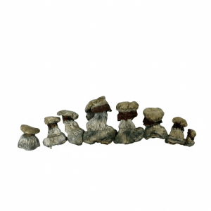 Alternative view of Cloud 9 - Premium Mushroom