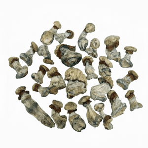 Cloud 9 - Premium Mushroom 2