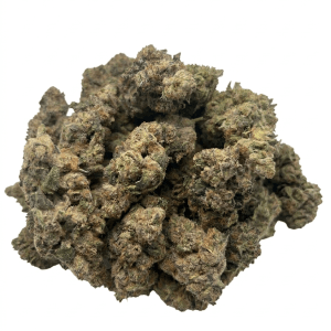 Alternative view of Gypsy God Bud - West Coast Exotics