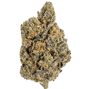 Grapefruit Kush - West Coast Exotics