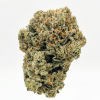 BlackBerry Kush – WestCoast Exotics